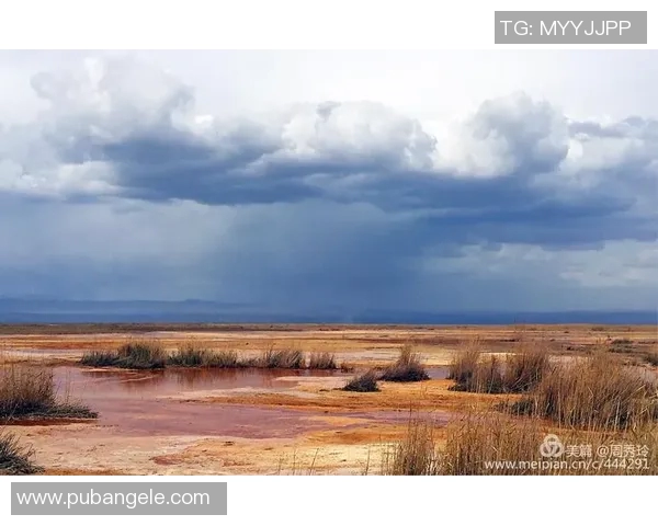 对话陈强：回顾足球生涯的起伏与梦想追寻