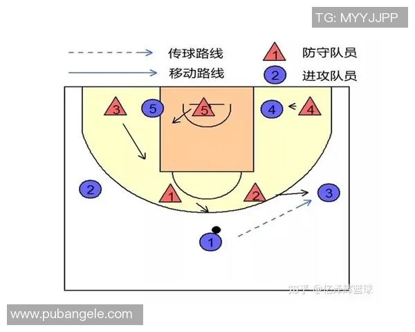 南京排球队盯防战术深度解析与实战应用探讨