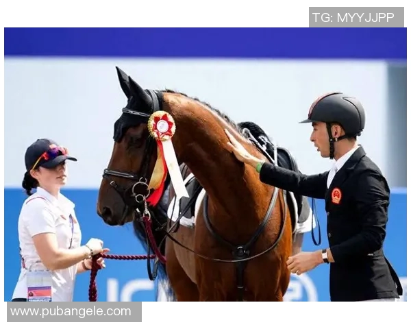 杭州篮球队在奥运会中的耐力表现值得称赞与反思