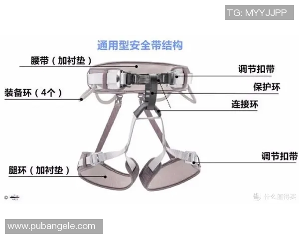 攀岩新手必读：从零基础到比赛经验的全面入门指南