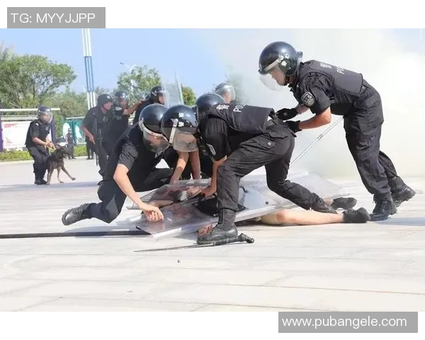 重庆滑板队的战术解析与控制体系探讨