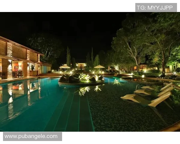 水中竞技与艺术融合的精彩盛宴 游泳表演会带你领略极致魅力 水中竞技与艺术融合的精彩盛宴 游泳表演会带你领略极致魅力