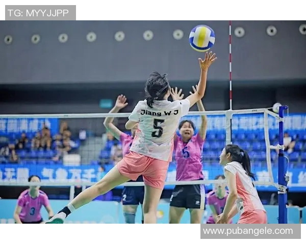 成都排球队的成长历程与奋斗精神全景纪实