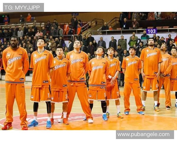 篮球意识排行榜揭晓上海篮球队荣登第七位展现实力与潜力