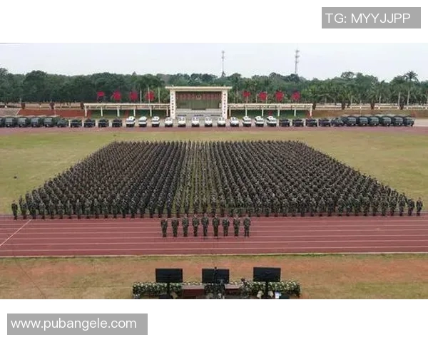 广州极限运动队战术解析与训练策略探讨的深度研究