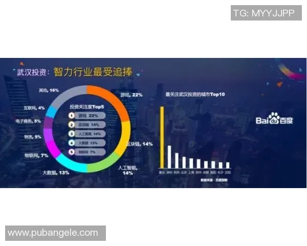 武汉极限运动队意识表现的深度数据分析与探讨