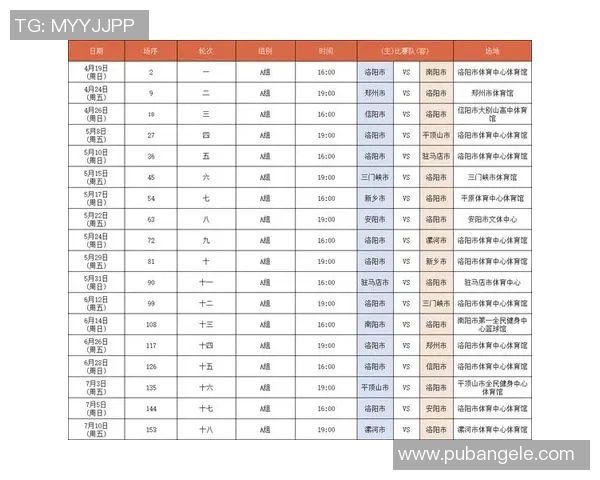 河南是否有CBA球队？省级联赛与职业梯队介绍