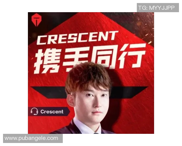 TES团队协作在世界大师赛中的精彩表现与战术分析